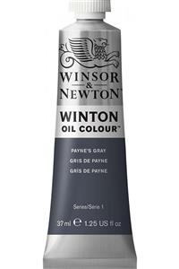 Winsor Newton Winton Yağlı Boya 37ml - Payne’s Gray 465