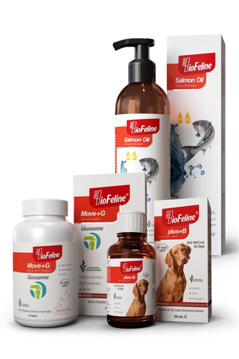 BioFeline Set-6 ( Salmon Oil/move+g/plus+b Dog )