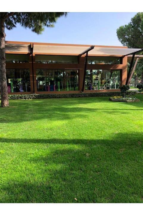 GüçlüTedarik Ingiliz Çimi (lolium Perenne) 500 Gr Çim Tohumu