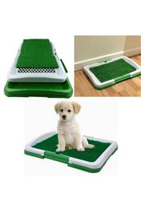 Alpa Store Köpek Tuvalet Eğitim Seti