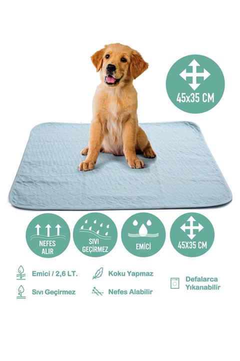 Careshop Abso Yıkanabilir Emici Tuvalet Eğitim Köpek Pedi ( 45x35 cm )