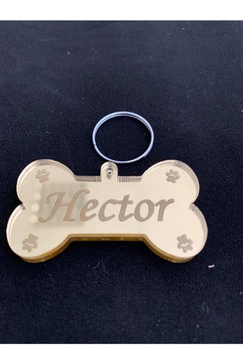 lazeranka Köpek Künyesi Tek Adet Kemik Şeklinde Pleksi Gold Vs Gümüş Renk