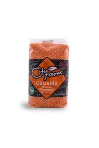 City Farm Organik Kırmızı Mercimek 1 kg