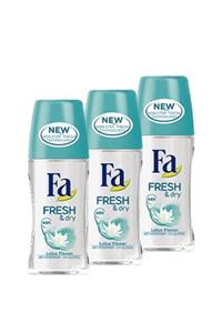 Fa Fresh Dry Lotus Roll-on 50 ml X3
