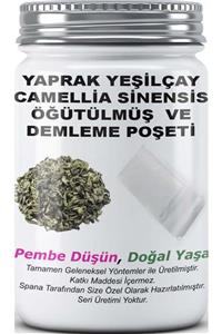 SPANA Yaprak Yeşilçay Camellia Sinensis Öğütülmüş Soğuk Bitki Çayları Ev Yapımı Katkısız 125gr