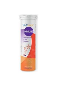 Wellcare Immune 15 Efervesan Tablet