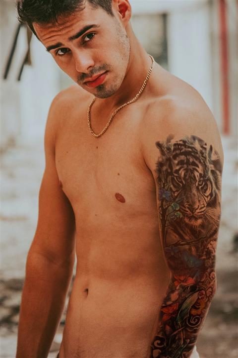 TAKIŞTIR Geçici Kaplan Kol Dövme Tattoo