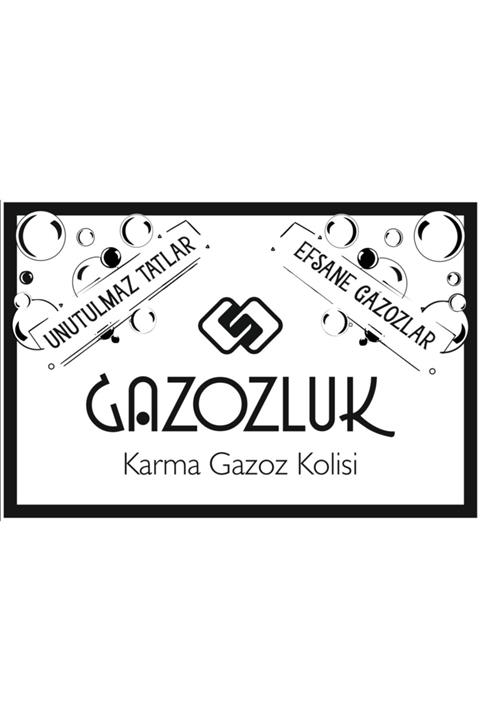 Gazozluk Beyoğlu Karma Gazoz Kolisi (6 Reyhan * 6 Zencefil * 6 Klasik * 6 Turunçgil)