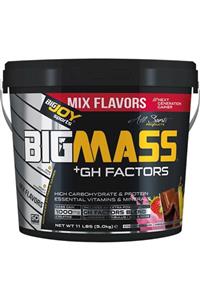 Bigjoy Sports Bigjoy Sports Bıgmass Gainer Gh Factors Mıx 5kg