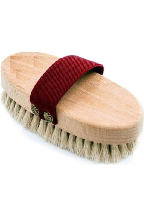 Kingshark At Kılı Fırça Selülit Karşıtı