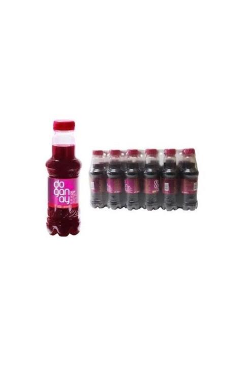 Doğanay Acısız Şalgam Pet 300ml 24adet