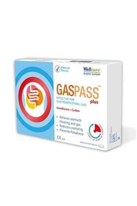 Wellcare Gaspass Plus 20 Tablet