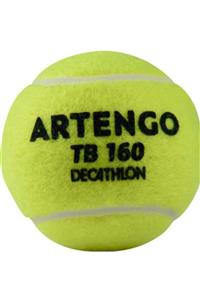 CGC STORE Tenis Topu - 3 Adet - Sarı Tb160