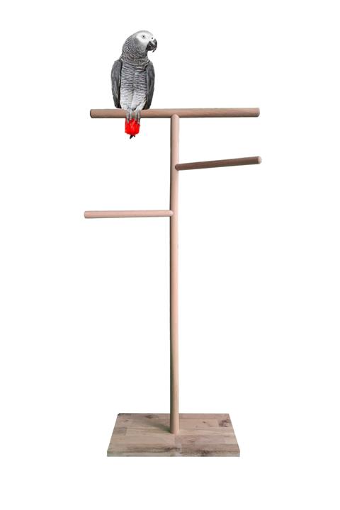 ULDEMART Ahşap Papağan Tüneği T Tünek 150 Cm.