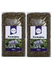 BİOTAR Organik Tarım Ürünleri Karabuğday Tane 750 Gr X 2 Adet