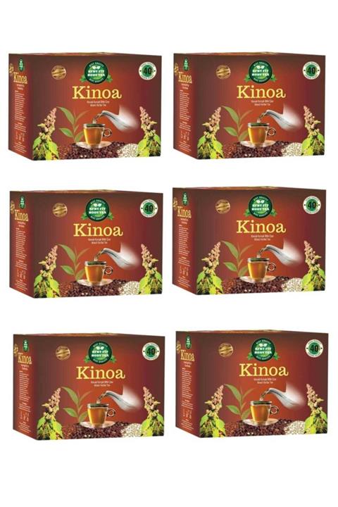 KFBT FİT BODY TEA Yeni Kinoa Çay Detox Form Bitki Çayı 6'lı Set