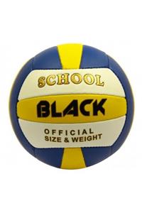 Povit Voleybol Topu Black School