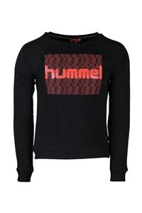 HUMMEL Kadın Sweatshirt Prala Sweat Shirt