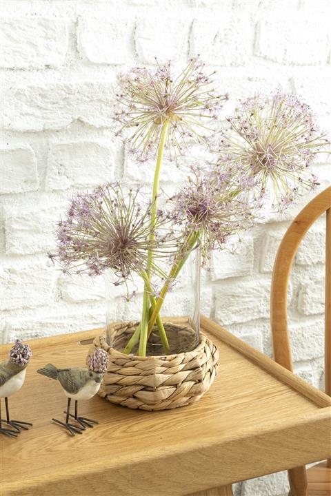 English Home Marva Cam Vazo 19x19x24 Cm Şeffaf