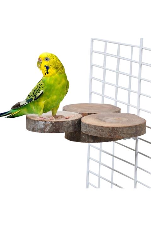 XPerk Doğal Ağaç Kuş Tüneği