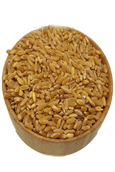 Arişaltı Taze Mahsul Hediklik Buğday 5 Kg