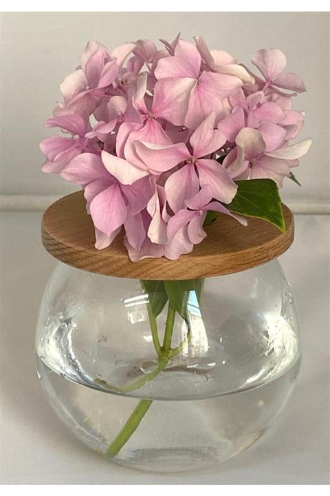 Missi Masif Ahşap Kapaklı Fanus Cam Vazo