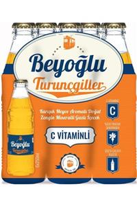 Beyoğlu Turunçgil 250 Ml  4*6