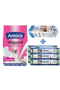 AMORE Lifeguard Yavru Kedi Süt Tozu 240gr + Biberon + Ödül Sticks 2 Adet 3lü