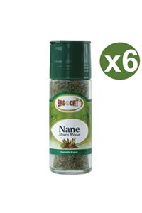 Bağdat Baharat Nane 16gr X 6 Adet Tuzluklu Cam (koli)