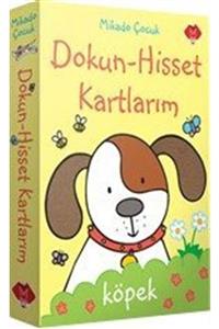 Mikado Dokun Hisset Kartlarım - Rachel Wells