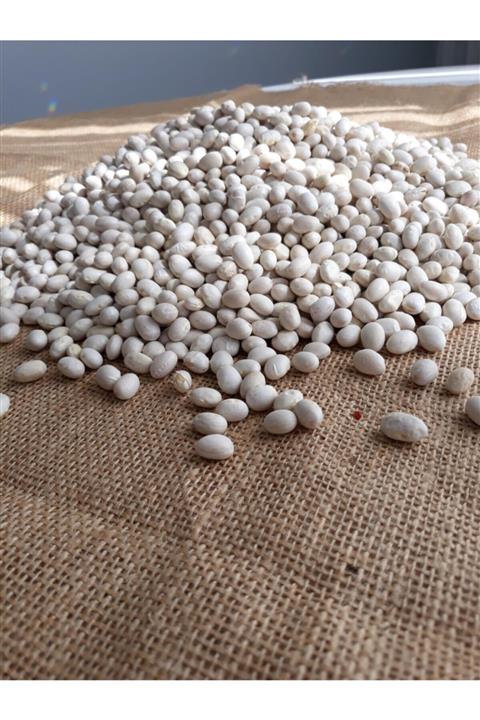 Gümüşhanemden Gelsin Organik Kelkit Kuru Şeker Fasulyesi 1kg