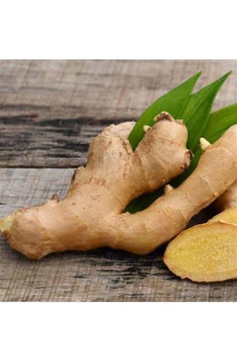 FORYED Zencefil ( Yaş Kök ) Tane Zencefil 1 Kg