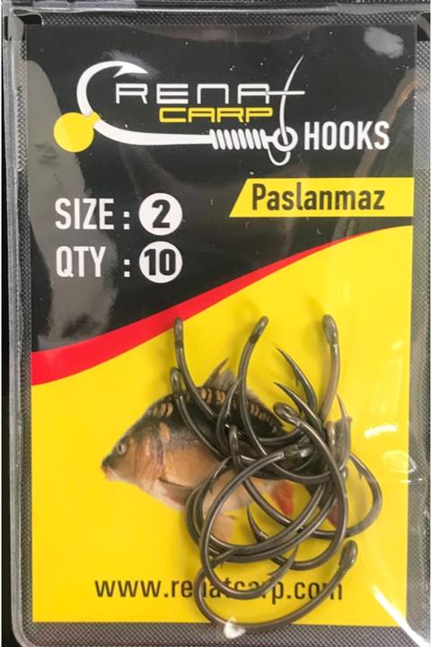 RENAT CARP Sazan Iğnesi No:2