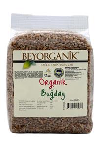 BEYORGANİK Organik Buğday 500 Gr