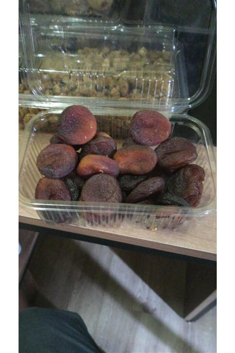 orgamilk türkiye Gün Kurusu 500