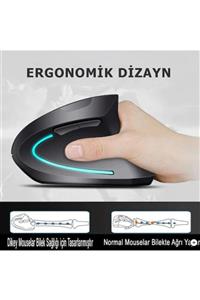 Ploody (pilli)dikey Ergonomik Kablosuz Mouse Fare Wireless 2000 Dpı 6