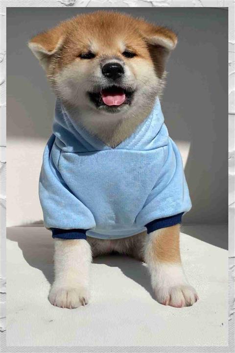 Pookita Burrito Sweatshirt