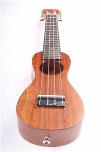 Bugs Gear Travel Maun Concert Ukulele