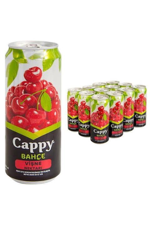 Cappy Vişne Suyu 330 Ml X 12 Li