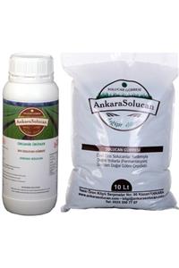 ANKARA SOLUCAN Katı 10 lt ve Sıvı 1 lt Solucan Gübresi