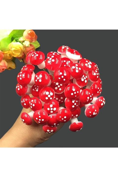 Minikbahcem Minyatür Teraryum Mantarı 10  Adet Kırmızı