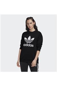 adidas Kadın Sweatshirt Trf Crew Sweat Fm3272