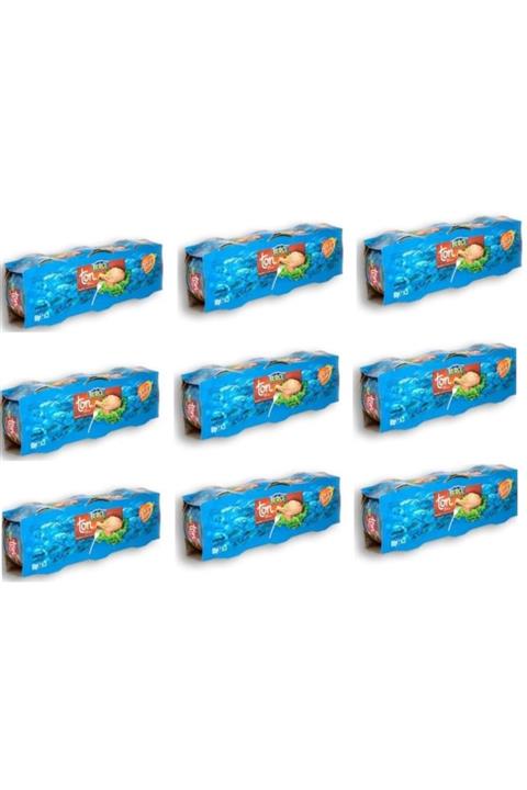 BURCU Ton Balığı 240 gr X 9 Adet