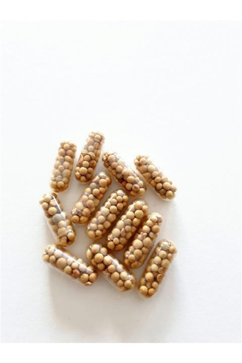 WOOF Akıllı Kapsül Akvaryum Bitki Gübresi Üretimde Kullandığımız Gübre 10 Adet