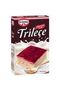 Dr. Oetker Böğürtlen Soslu Trileçe 315 gr