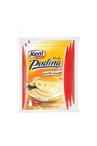 Kent Boringer Puding Muzlu 3 Lü