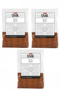 Duru Bakliyat Duru Lival Teff 250 Gr X 3 Adet