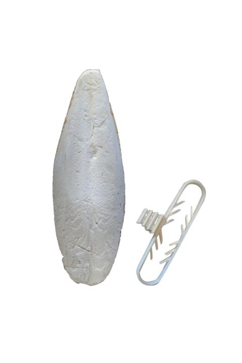 Pet Materyal Mürekkep Balığı (kalamar) Kemiği (net 15-16cm) Ve Tutacak