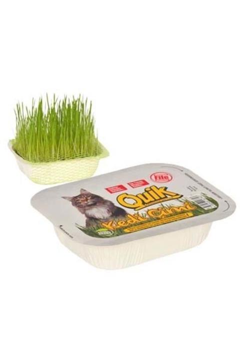 Quik Kedi Ve Kemirgen Çimi