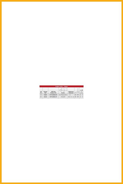 AAVDAN Subap Takımı (ın 16 / Ex 16) A8 S8 4,2 V8 32v